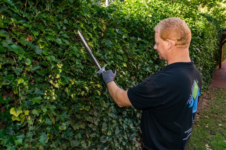 Referenz Gartenpflege